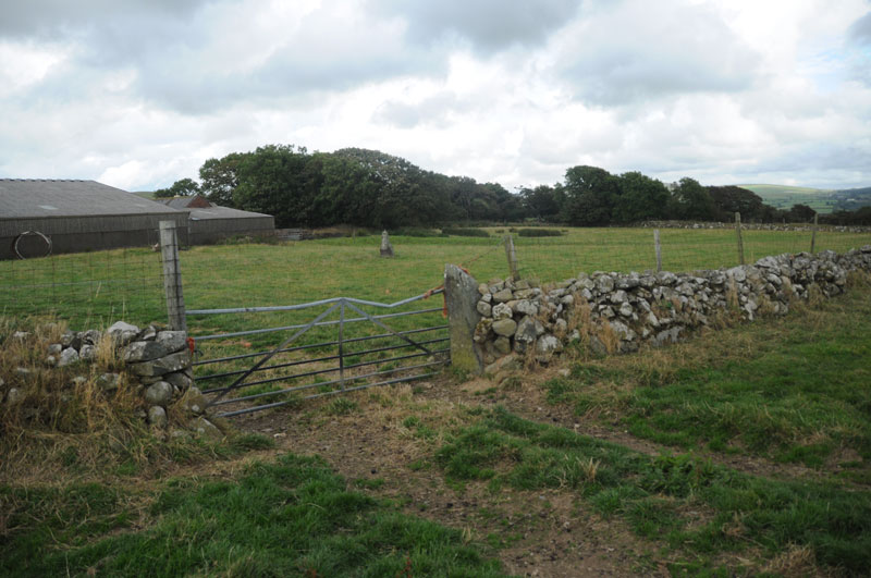 Click for the gallery page to add comments and vote (PID:122764) Trellwyn-fach Stone Pair