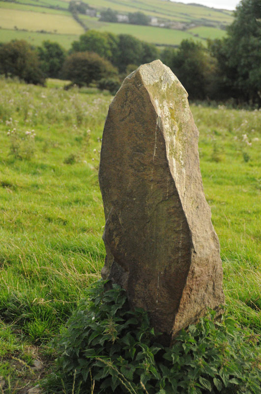 Click for the gallery page to add comments and vote (PID:122782) Tre-llwyn Fawr