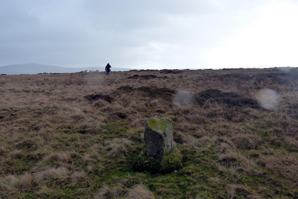 Click for the gallery page to add comments and vote (PID:208446) Mynydd Melyn Stone