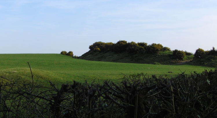 Caerau Gaer hillfort, this hidden gem commands wonderful views south over the valley, whilst its close neighbour (Llanddewi Gaer) looks north towards the Precelli Hills.

The lanes linking the two hilltops have the incomparable feel of ancient trackways....with a fox happily wandering along ahead of me!