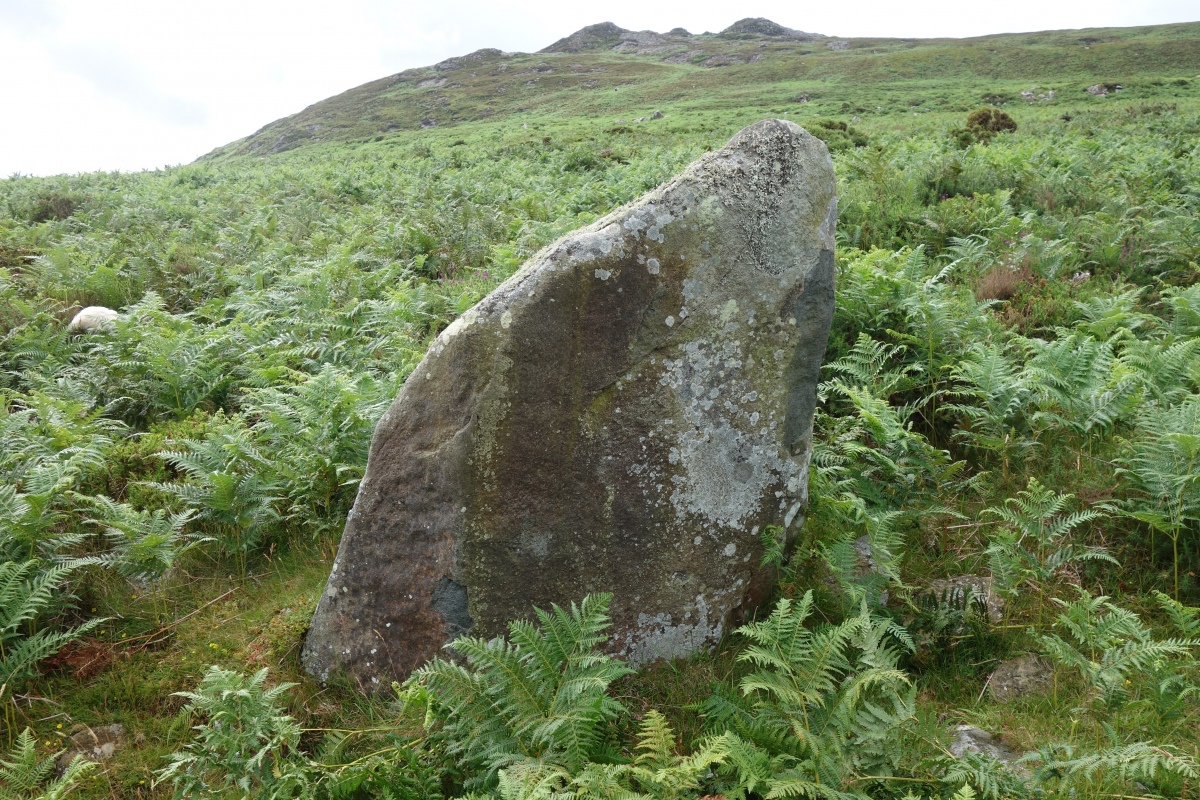 Crn Llwyd Stone