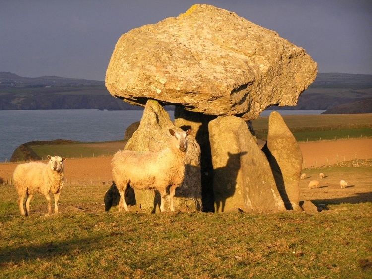 Click for the gallery page to add comments and vote (PID:21594) Carreg Samson, Abercastle