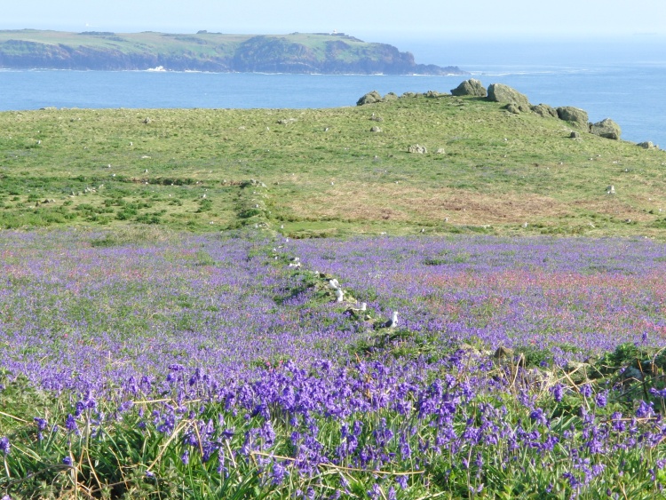 Click for the gallery page to add comments and vote (PID:88108) Skomer south west settlements