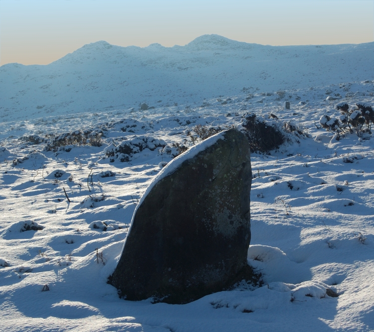 Click for the gallery page to add comments and vote (PID:102526) Crn Llwyd Stone
