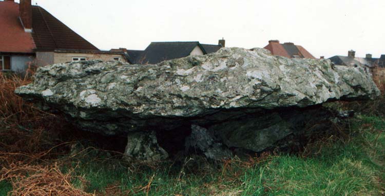 Garn Wen 1