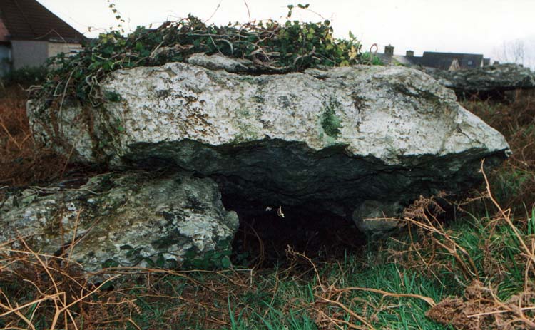 Garn Wen 2