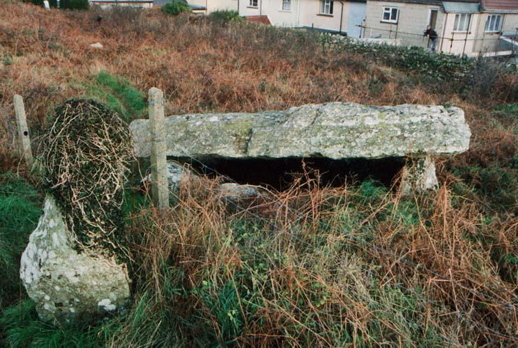 Garn Wen 3
