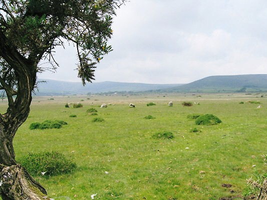 Click for the gallery page to add comments and vote (PID:40646) Gors Fawr Stone Circle