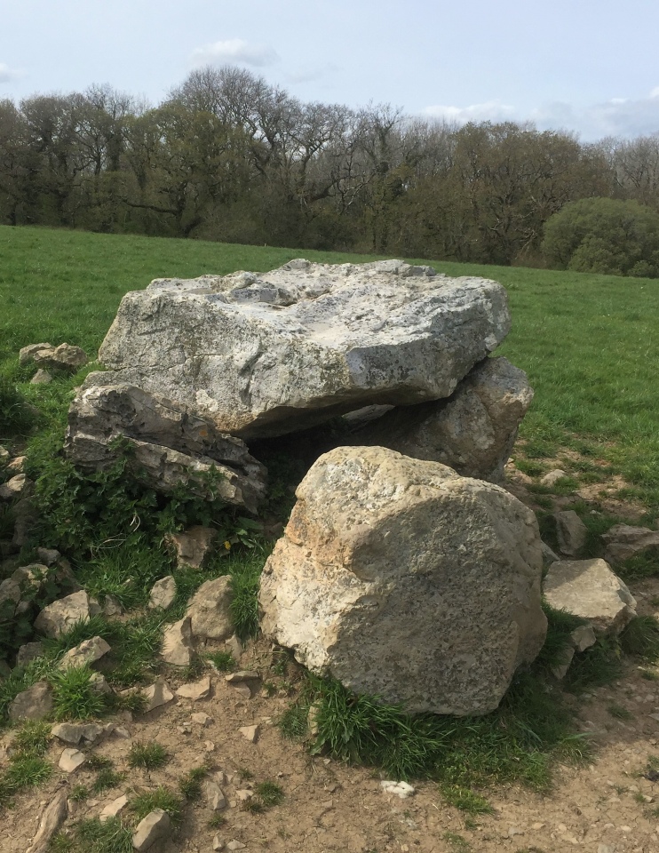 Cuckoo Stones, Pembrokeshire | Megalithic Portal
