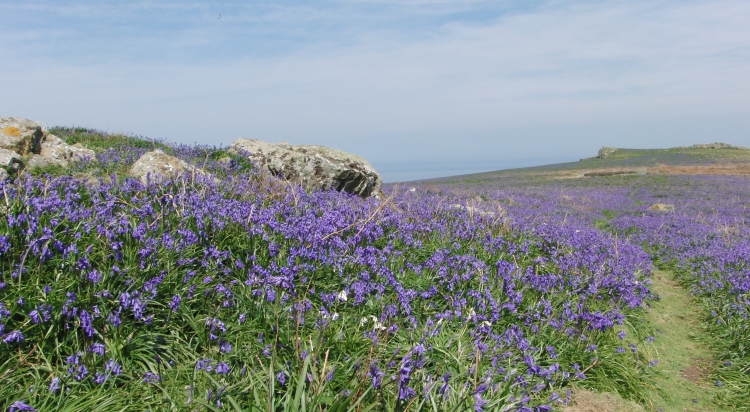 Click for the gallery page to add comments and vote (PID:58276) North Skomer settlement