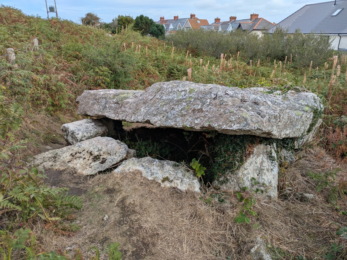 Garn Wen 1