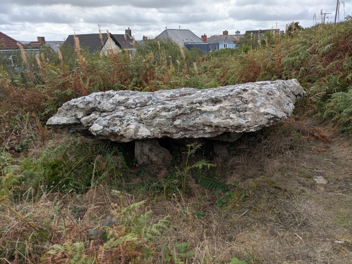 Garn Wen 2