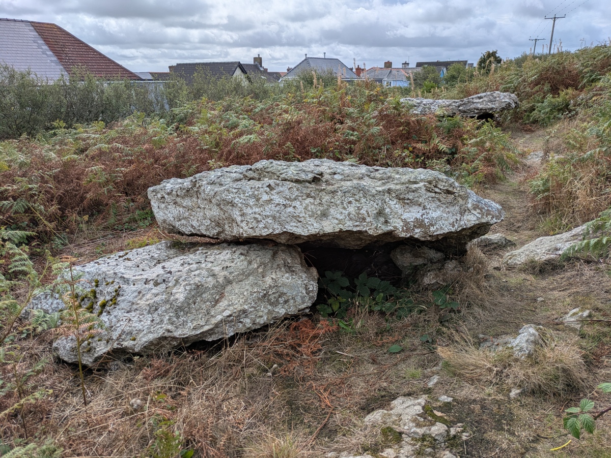 Garn Wen 3