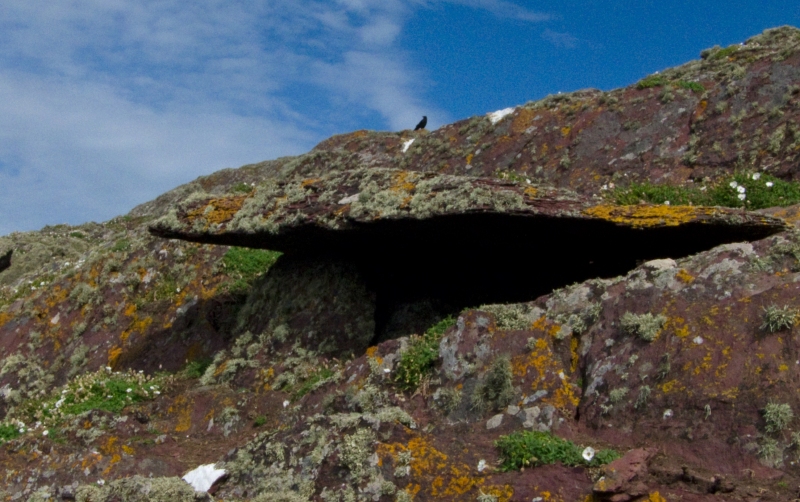Click for the gallery page to add comments and vote (PID:121501) Skokholm