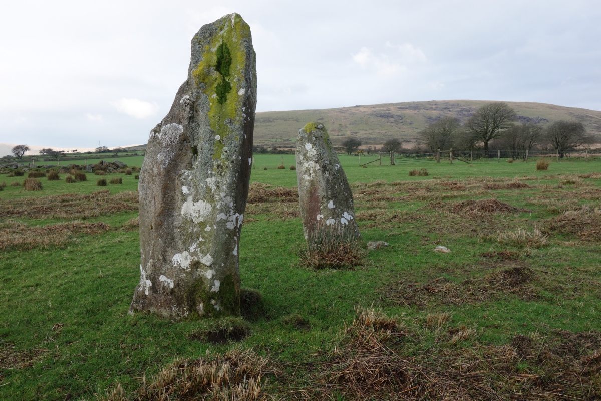 Mynachlog-ddu stones