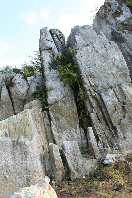Click for the gallery page to add comments and vote (PID:137516) Craig Rhosyfelin