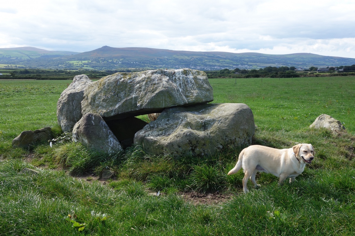 Trellyffaint Tomb