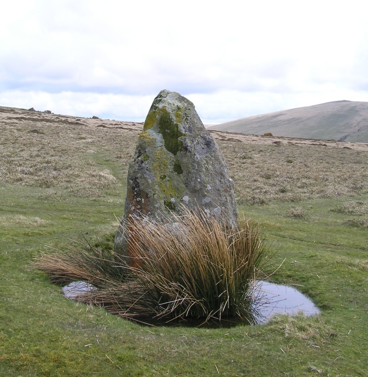 Click for the gallery page to add comments and vote (PID:46484) Waun Mawn W
