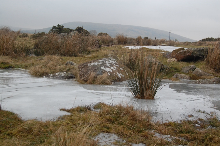 Click for the gallery page to add comments and vote (PID:44827) Gors Fawr Stone Circle