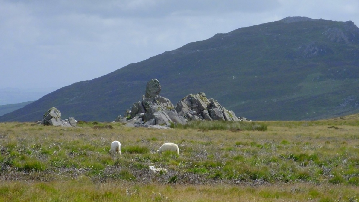 Click for the gallery page to add comments and vote (PID:219045) Carn Meini