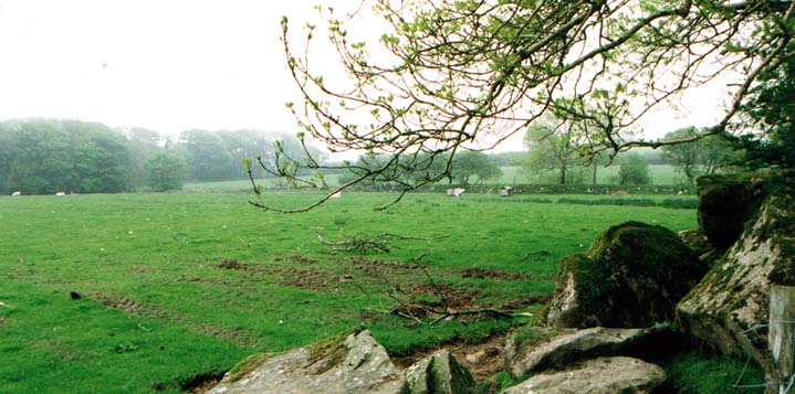 Click for the gallery page to add comments and vote (PID:1184) Glynsaithmaen Field