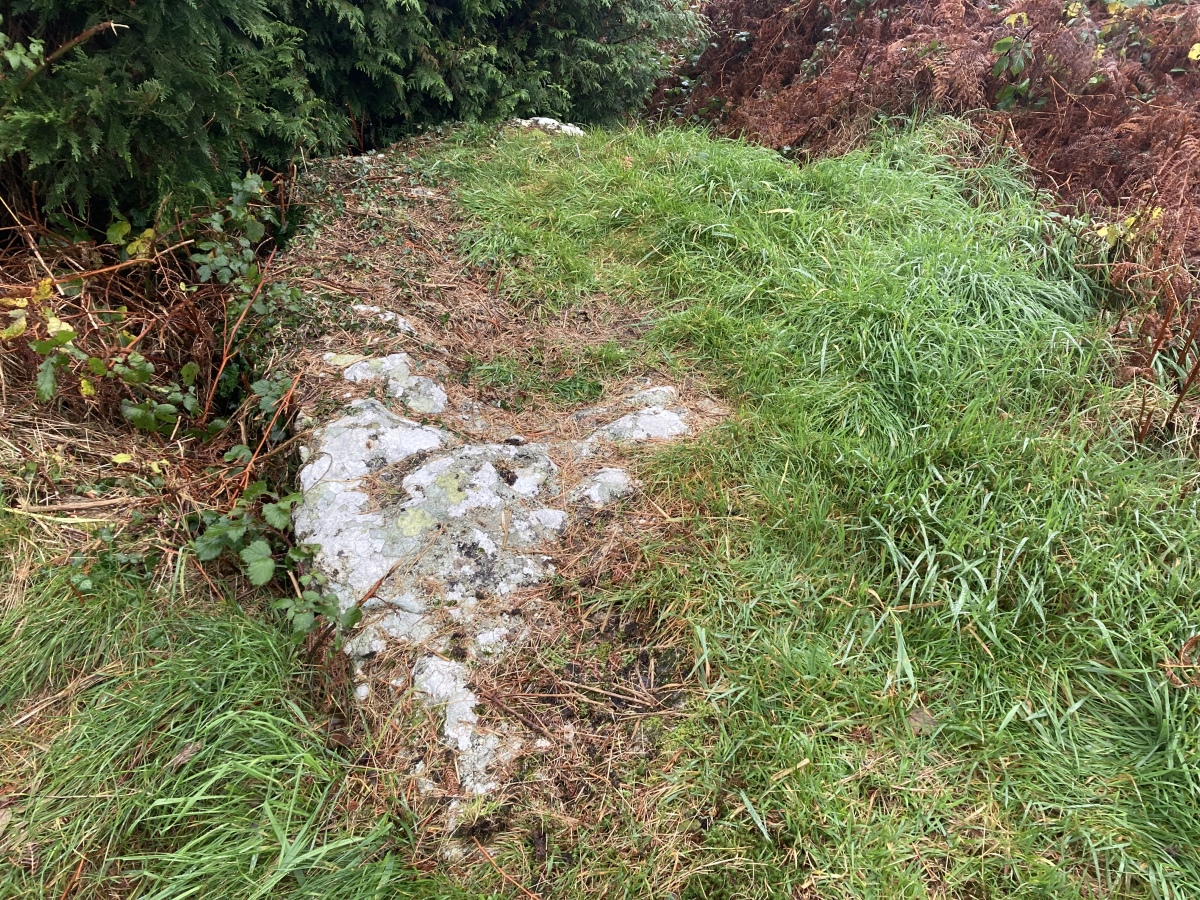 Garn Wen 4