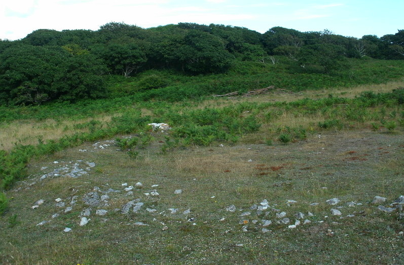 Stackpole Warren Ancient Village or Settlement : The Megalithic Portal ...