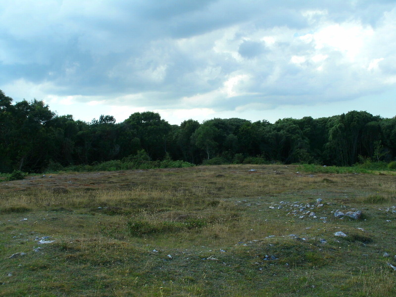 Stackpole Warren Ancient Village or Settlement : The Megalithic Portal ...