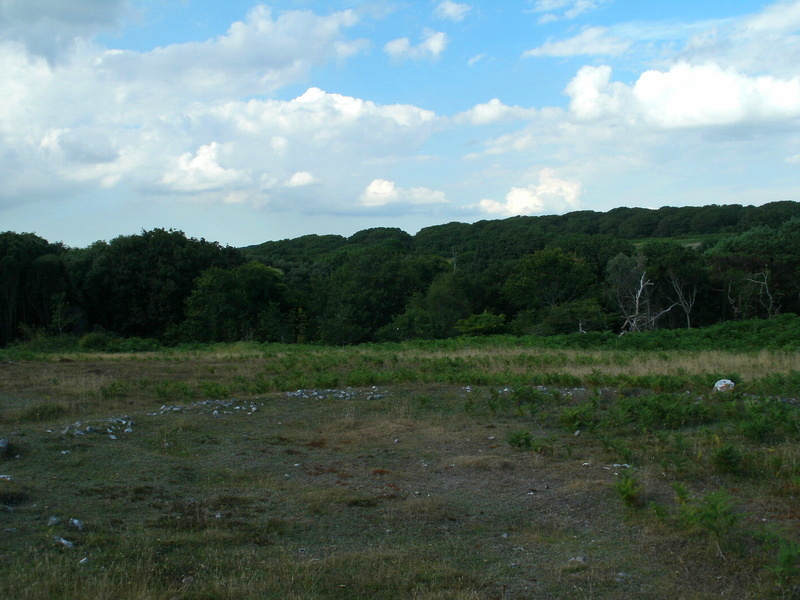 Stackpole Warren Ancient Village or Settlement : The Megalithic Portal ...