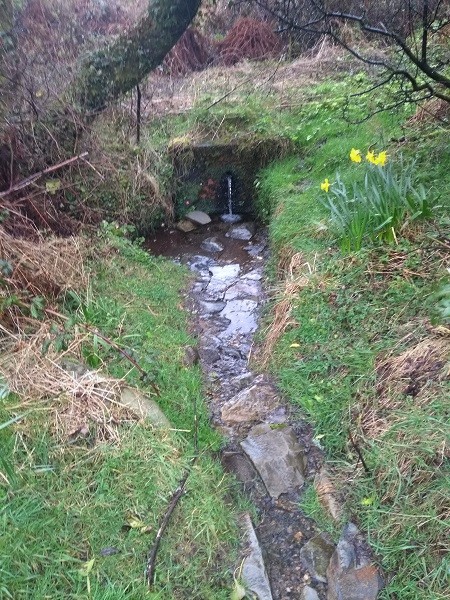 Click for the gallery page to add comments and vote (PID:194657) St Mary's Well (Maenclochog)