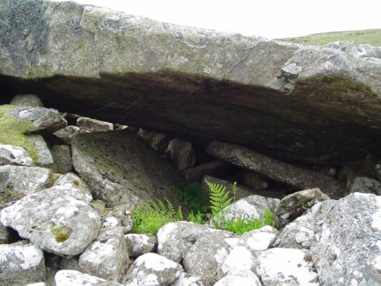 Carn Meini Tomb