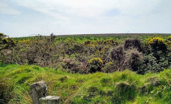 Click for the gallery page to add comments and vote (PID:196348) Bernard's Well Mountain