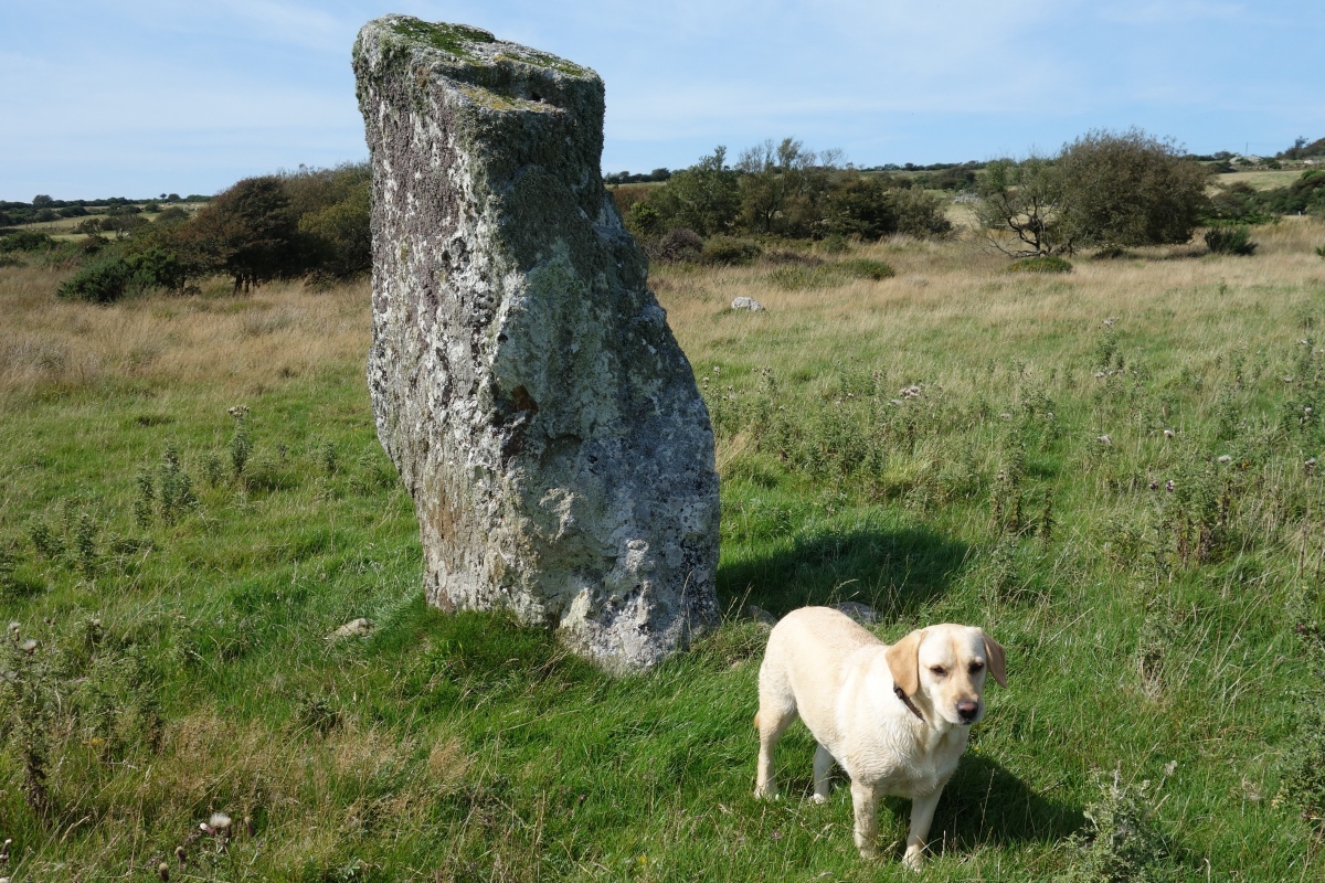 Manorowen