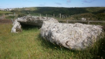 St Elvis Farm