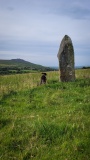 Trefach