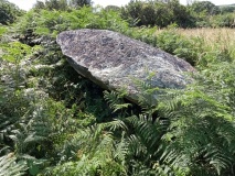 Cerrig y Gof