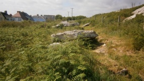 Garn Wen 1