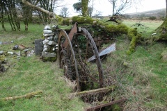 Trellwyn-fach