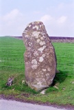 Bedd Morris