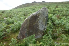 Carn Llwyd Stone