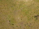 Gors Fawr Stone Circle - PID:183918