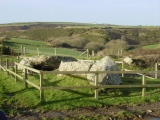 St Elvis Farm