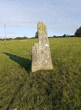 Trellwyn-fach
