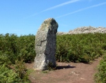 Skomer Stone submitted by Robc