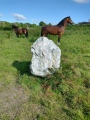 Maen Gwyn Menhir - PID:242427