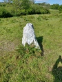 Maen Gwyn Menhir - PID:242428