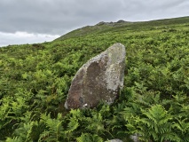 Carn Llwyd Stone