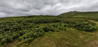 Carn Llwyd Earthwork