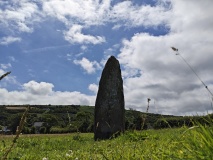 Dinas Cross Stone