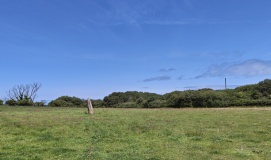Dinas Cross Stone
